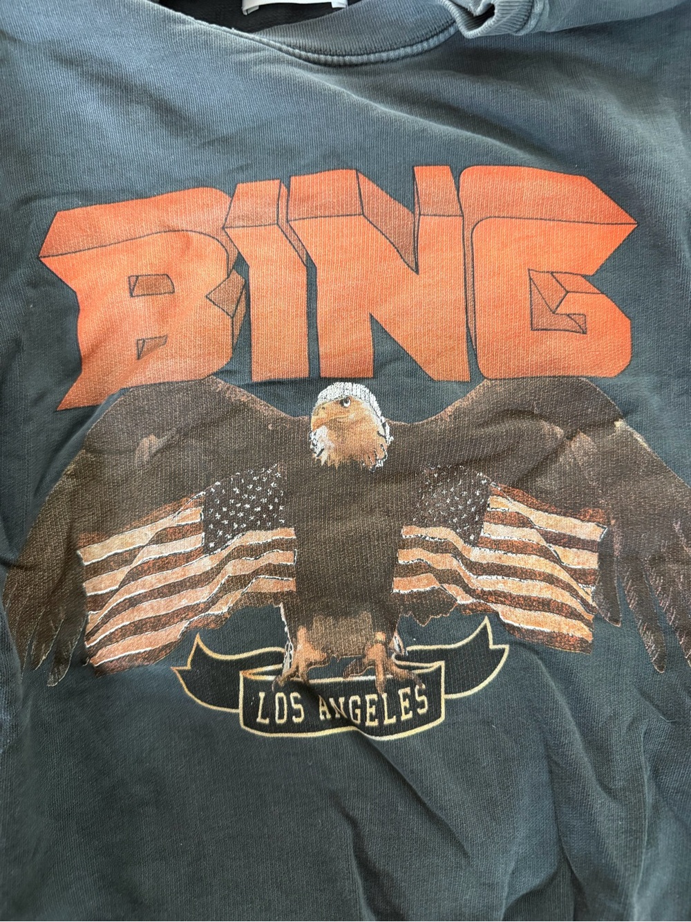 Anine Bing eagle Blue Sweatshirt with BING Graphic